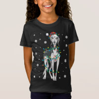 Saluki Embalado No Cão Das Luzes De Natal