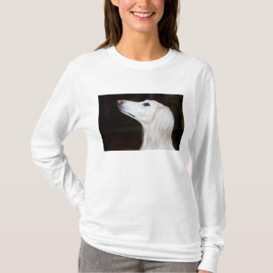 Camiseta Saluki que olha acima