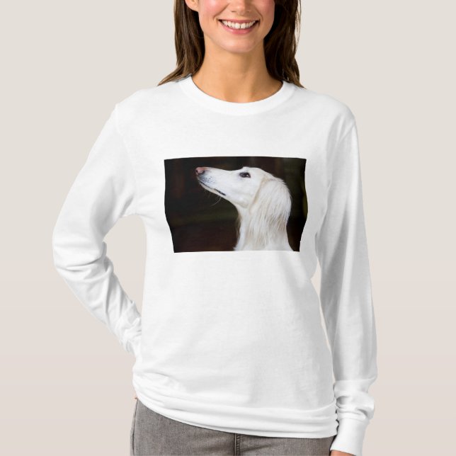 Camiseta Saluki que olha acima (Frente)