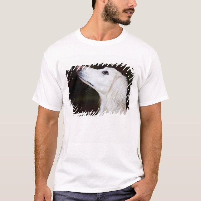 Camiseta Saluki que olha acima (Frente)