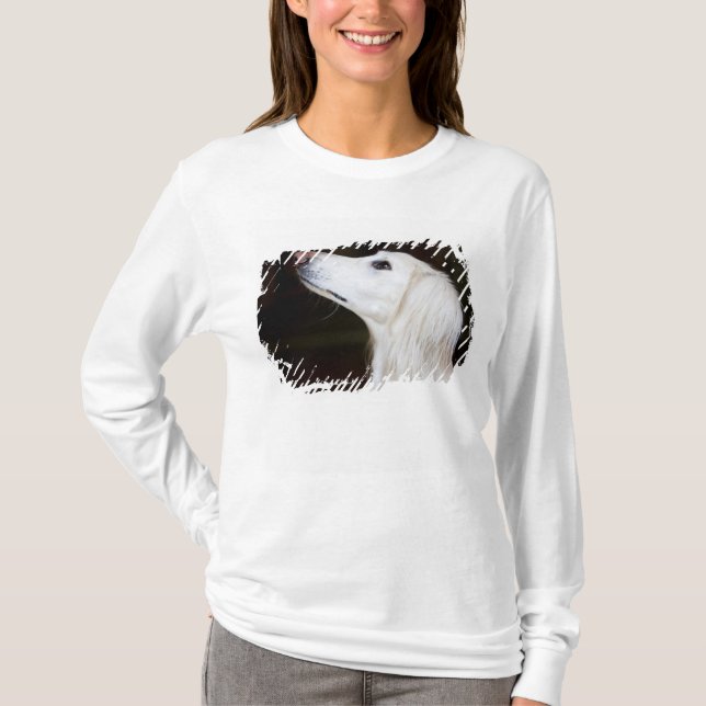 Camiseta Saluki que olha acima (Frente)