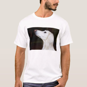 Camiseta Saluki que olha acima