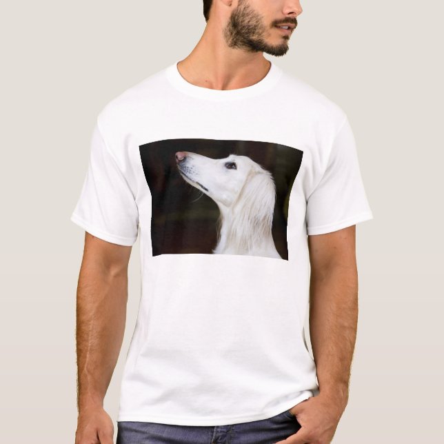 Camiseta Saluki que olha acima (Frente)