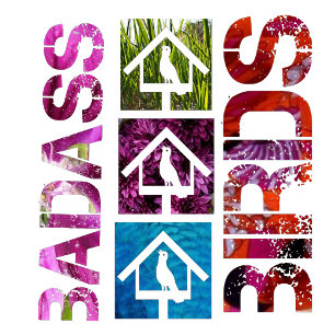 Camiseta salve a Puma como a Puma