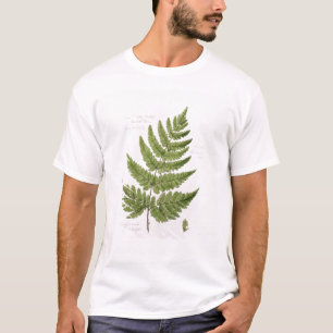 Camiseta Samambaia de broquel Espinhoso-dentada larga,