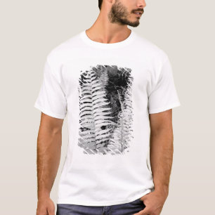 Camiseta Samambaia de couro gigante selvagem, Flórida, EUA.
