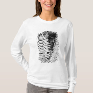Camiseta Samambaia de couro gigante selvagem, Flórida, EUA.