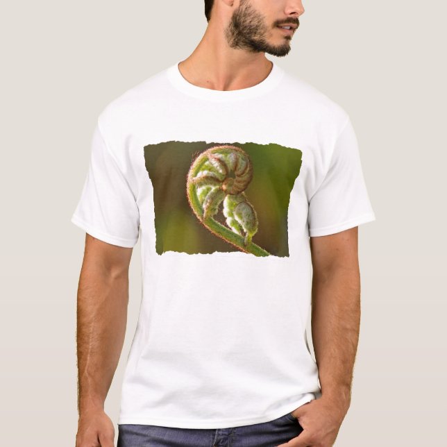 Camiseta Samambaia de Fiddlehead (Frente)