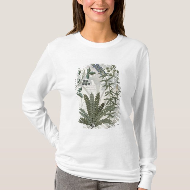 Camiseta Samambaias, amoras e flores (Frente)