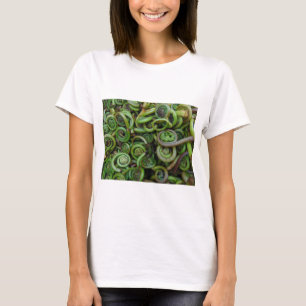 Camiseta Samambaias de Fiddlehead