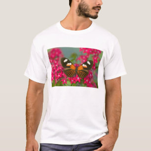 Camiseta Sammamish Washington Fotografia de Borboleta em 14