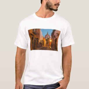 Camiseta San Miguel de Allende, México. Crédito a: Nancy