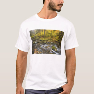 Camiseta Sanderson Brook. Floresta Estadual Chester-Blanfo