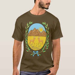 Camiseta sanluis, Argentina