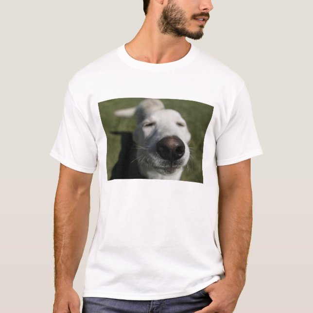 Camiseta Santa Fé, Novo México (Frente)