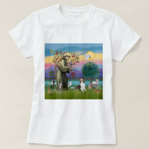 Camiseta Santo Francis com Animais - personalizável