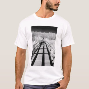 Camiseta Santuário Corkscrew Swamp, passarela, Flórida,