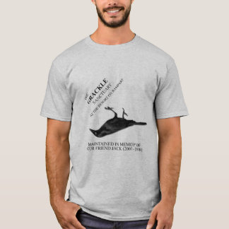 Camiseta Santuário de Grackle