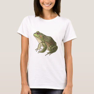 Camiseta Sapo