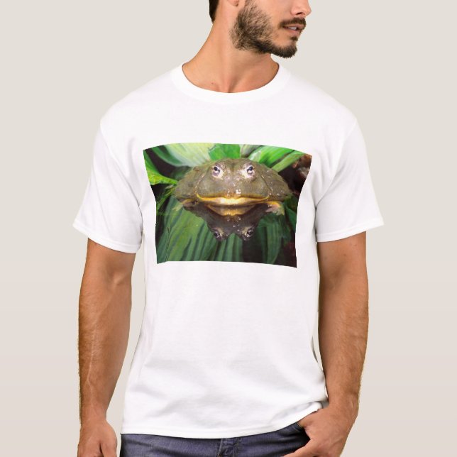 Camiseta Sapo Burrolante Africano, Pyxicephalus 2 (Frente)