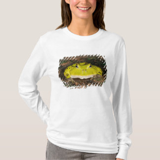 Camiseta Sapo Chifrudinho Brasileiro, Ceratophrys cornuta,