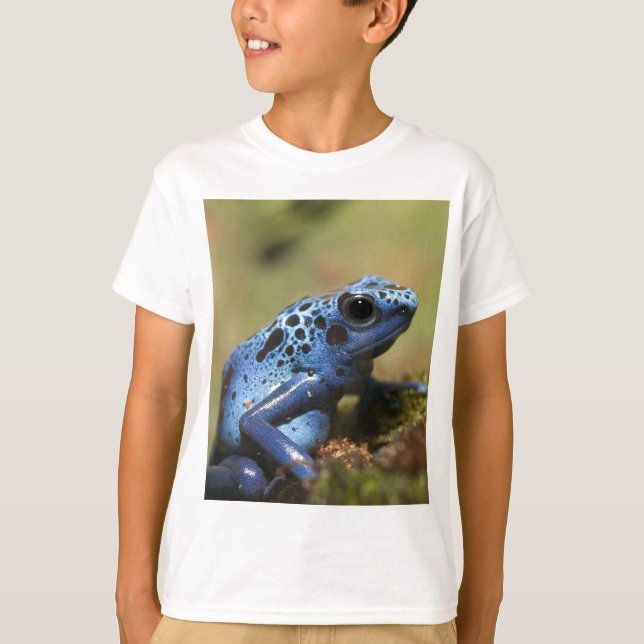 Camiseta Sapo Dart Azul (Frente)