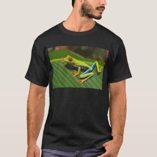 Camiseta Sapo de árvore