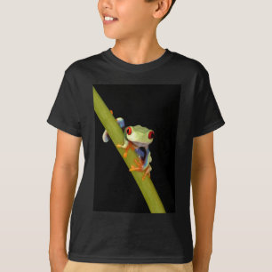 Camiseta sapo de árvore eyed vermelho