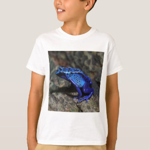 Camiseta Sapo de dardos azuis, Sapo azul brilhante