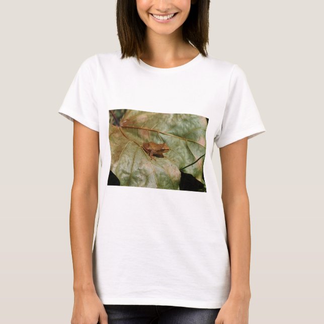 Camiseta Sapo minúsculo (Frente)