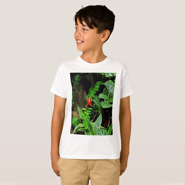 Camiseta Sapo Red Dart CB (Frente Completa)