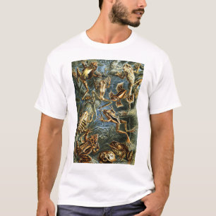 Camiseta Sapos de Batrachia por Ernst Haeckel