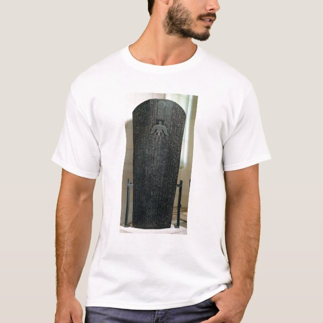 Camiseta Sarcófago de Djedhor, período Ptolemaic (Frente)