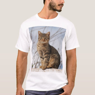 Camiseta Sarda Tabby Cat