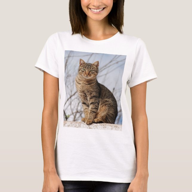 Camiseta Sarda Tabby Cat Camisa-T feminina (Frente)