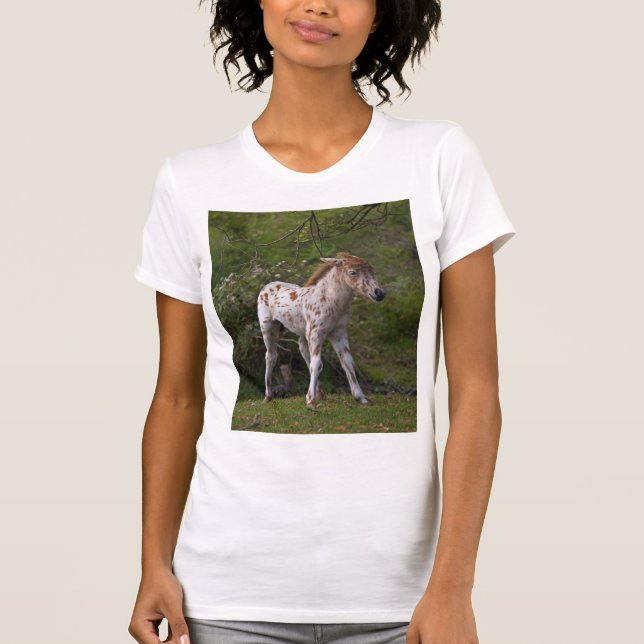 Camiseta Sardas (Frente)