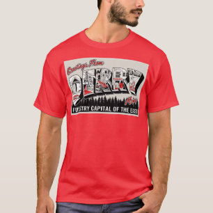 Camiseta Saudação De Derry Maine
