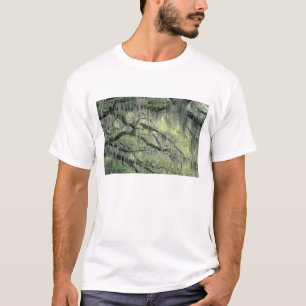 Camiseta Savannah, Geórgia, árvore Live Oak coberta com