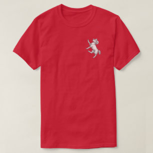 Camiseta SCA Gleann Abhann T-Shirt