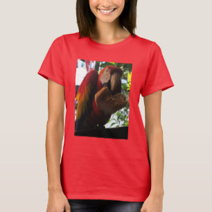 Camiseta Scarlet Macaw Comendo Brinde