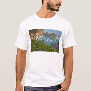 Camiseta Scenic McWay Cai cai na praia e