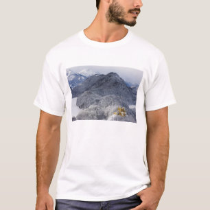Camiseta Schloss Hohenschwangau