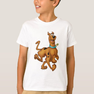 Camiseta Scooby-Doo Happy Walk