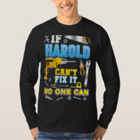 Se Harold não consegue consertá-lo, ninguém pode c