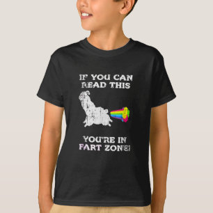 Camiseta Se Você Puder Ler Isto Você Na Zona De Fora Engraç
