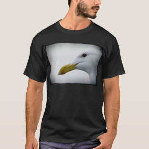 Camiseta Seagull amigável?
