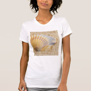 Camiseta Seashell doce