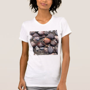 Camiseta Seashells coloridos Scalloped em uma areia preta