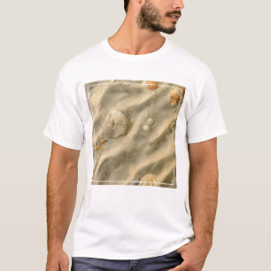 Camiseta Seashells na areia