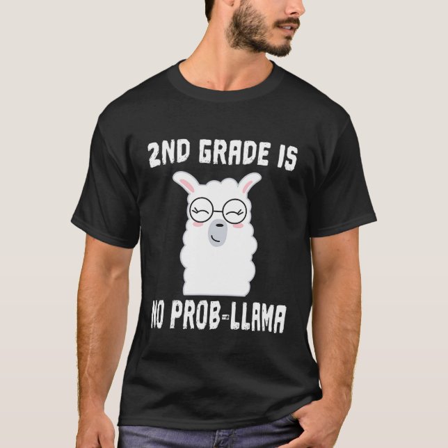 Camiseta segundo Grau Sem Prob Llama Equipe Professora Educ (Frente)